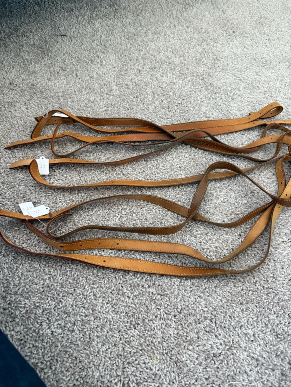 Louis Vuitton Palermo Straps H44